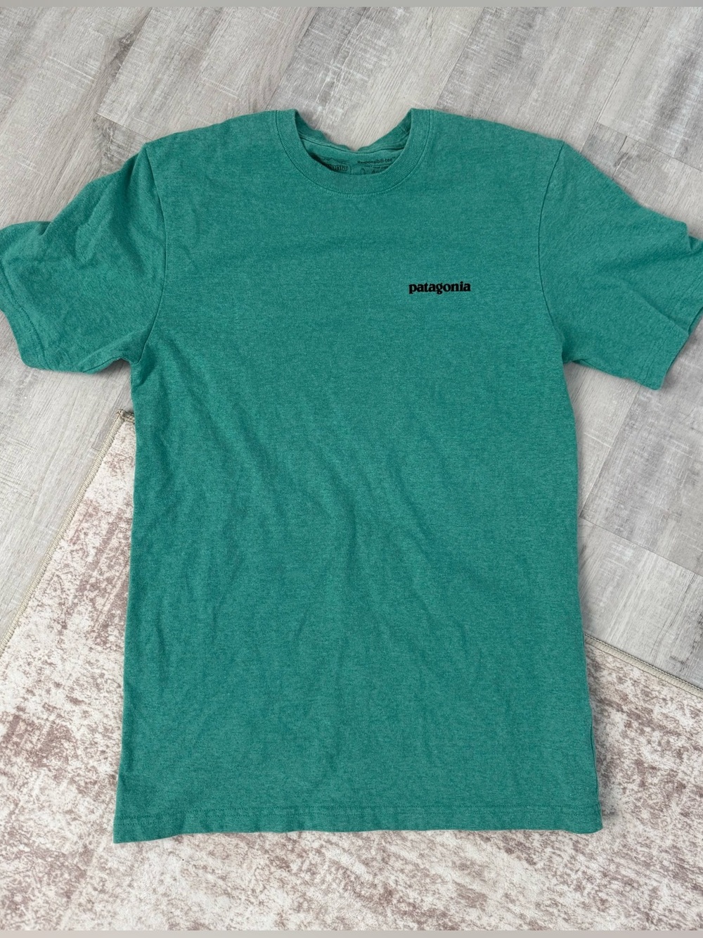 Patagonia Graphic Logo Short Sleeve Crewneck Tee, Teal. Unisex XS.